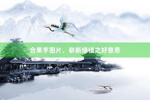 合果芋图片，崭新绿植之好意思